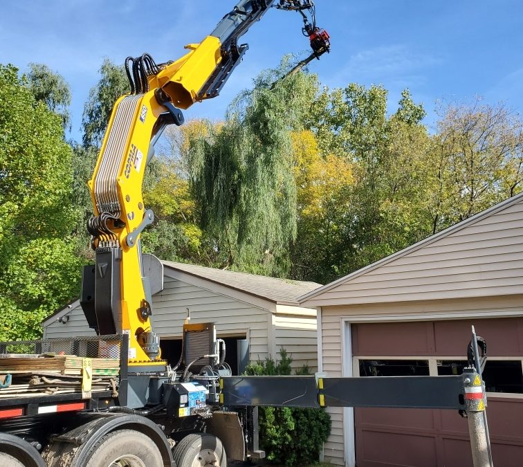 Tree Removal Orangeville – Some Indicators that you need our help