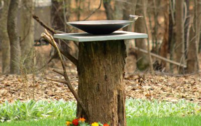 3 Creative Ways to Use the Stump after Tree Removal